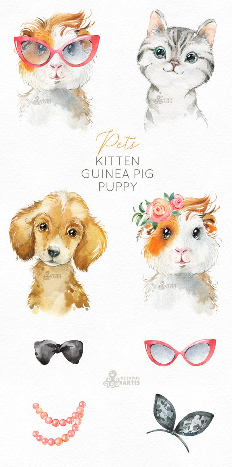 Pets. Kitten, Guinea Pig, Puppy. Watercolor little animals clipart, baby, cavy, sunglasses, pussycat, flowers, kids nursery art, baby-shower image 3