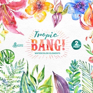 Tropic Bang Elements part 2. Watercolor clipart, lily, hibiscus, orchids, wedding invitation, floral, beach, greetings, diy clip art