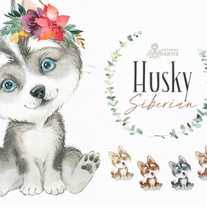 Husky Siberian. Watercolor Little Pet Clipart (Download Now) - Etsy