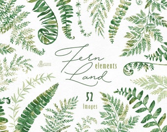 FernLand. Elements. Watercolor floral clipart, separate ferns, leaves, wild, wedding, bridal, suite, greeting, green, forest, minimalistic