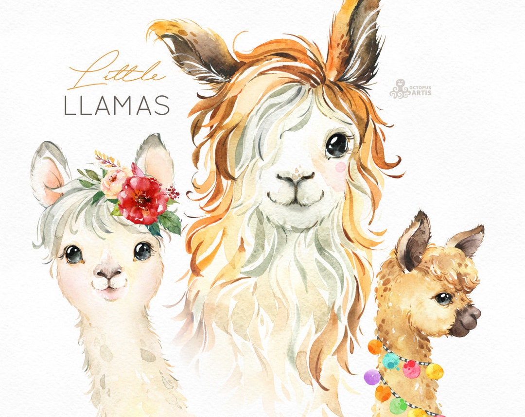 Little Llamas. Watercolor Animals Clipart, Alpaca, Portrait