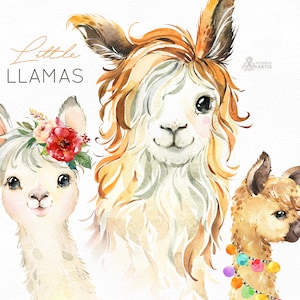 Little Llamas. Watercolor animals clipart, alpaca, portrait, flowers, kid, country, cute, baby llama, nursery art, peru, nature, baby-shower