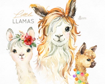 Details about   June Cute Llama & Colorful Cactus Stickers / Funny Watercolor Sti... 30 Pieces 