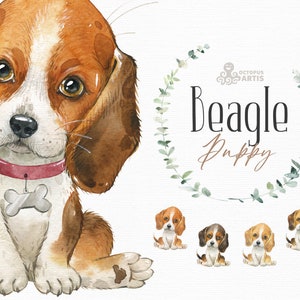 Beagle. Watercolor little pet clipart, portrait, puppy, doggie, baby, flowers, kids, nursery, dog, wreath, tricolor, friend, gallery, scarf