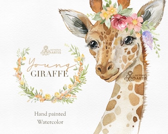 Young Giraffe. Watercolor animals clipart. African, wreath, flowers, nursery gallery, baby-shower decor, birthday clip art, invitation card