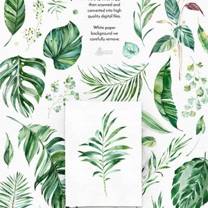 Majestic Green. 50 Individual Floral Elements. Watercolor clipart, leaves, tropical, leaf, greenery, palm, green, wild, wedding, bridal, png image 2