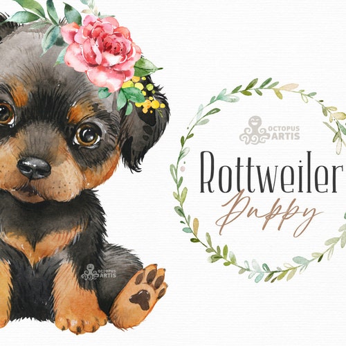 Rottweiler. Watercolor Little Animal Clipart Portrait Puppy - Etsy Rottweiler. Watercolor Little Animal Clipart Portrait Puppy - Etsy