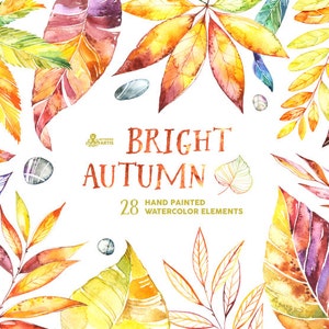 Bright Autumn. 28 Watercolor Elements, handpainted clipart, fall leaves, foliage, leaves, leaf, wedding invitation, pebbles, greeting, diy