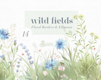 Wild Fields. Floral Borders & Elements. Watercolor Flowers clipart, wildflowers, grass, bridal, wedding, delicate, png, pre-made, meadow