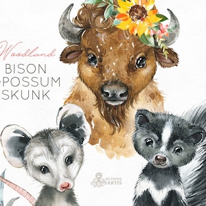 Bison Opossum Skunk. Watercolor animals clipart, woodland, forest, wreath, flowers, kids, cute, nursery art, nature, realistic, wild