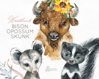 Bison Opossum Skunk. Watercolor animals clipart, woodland, forest, wreath, flowers, kids, cute, nursery art, nature, realistic, wild