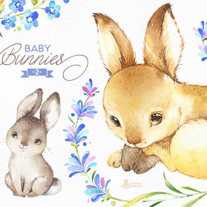 Baby Bunnies 2. Watercolor little animals and floral clipart, wreath, rabbit, frames, forest, cute, nice, country, nursery art, nature, png