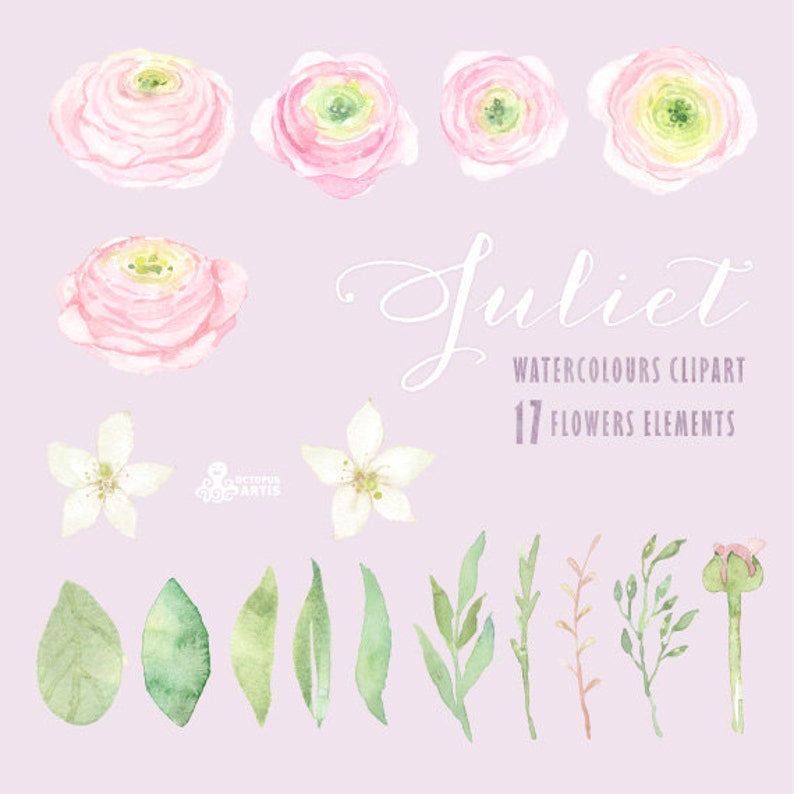 blossom invitations Handpainted watercolor ronunculus pink Juliet Watercolour Flowers Clipart romantic floral wedding diy greetings