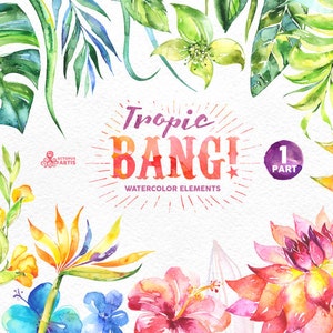 Tropic Bang Elements part 1. Watercolor clipart, lily, hibiscus, orchids, wedding invitation, floral, beach, greetings, diy clip art