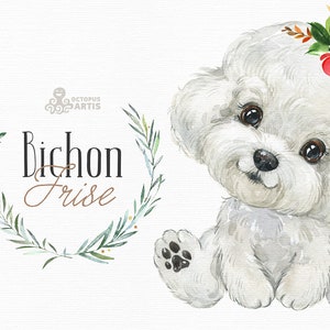 Bichon Frise. Watercolor little dog clipart, portrait, puppy, doggie, baby, flowers, floral crown, kids nursery, wreath, bowtie, sunglass
