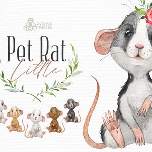 Little Pet Rat. Watercolor little animal clipart, portrait, baby, flowers, floral crown, kids nursery, bowtie, gallery, baby shower, art