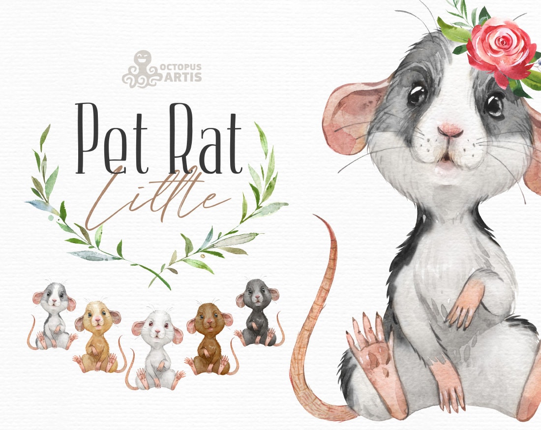 clipart rats