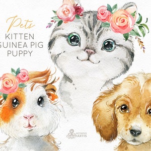Pets. Kitten, Guinea Pig, Puppy. Watercolor little animals clipart, baby, cavy, sunglasses, pussycat, flowers, kids nursery art, baby-shower image 1