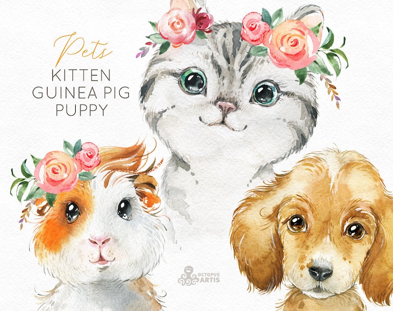 Pets. Kitten, Guinea Pig, Puppy. Watercolor little animals clipart, baby, cavy, sunglasses, pussycat, flowers, kids nursery art, baby-shower image 1