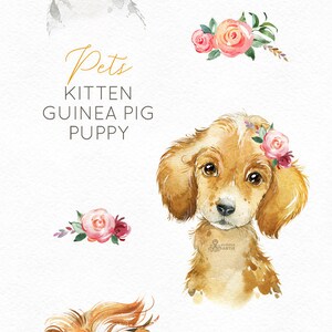 Pets. Kitten, Guinea Pig, Puppy. Watercolor little animals clipart, baby, cavy, sunglasses, pussycat, flowers, kids nursery art, baby-shower image 2