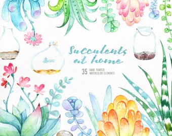 Succulents at Home. 35 floral Elements and Jars. Hand painted watercolor flowers, wedding diy elements, flowers, invite, jars clipart