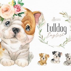 English Bulldog. Watercolor little animal clipart, portrait, puppy, doggie, baby, flowers, kids nursery, british, dog, wreath, bowtie