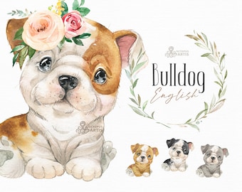 english bulldog in tutu