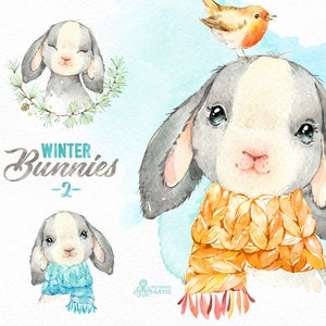 Winter Bunnies 2. Watercolor holiday clipart, rabbit, hare, Christmas, card, wreath, scarf, country, nursery art, nature, realistic, wild