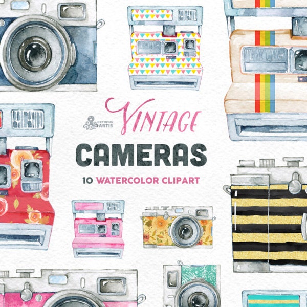 Vintage Cameras. 10 Handpainted clipart, wedding elements, flowers, invite, cover for camera, photocamera, boho, clipart, retro