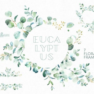 Eucalyptus Frames. Watercolor Floral clipart, leaves, leaf, greenery, green, wild, wedding, bridal, branch, forest, delicate, gentle, nature