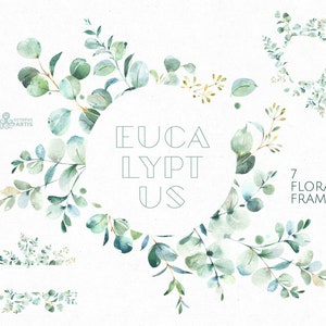 EukalyptusRahmen. Aquarell Blumen Clipart, Blätter, Blatt, grün, grün, wild, Hochzeit, Braut, Ast, Wald, zart, sanft, Natur