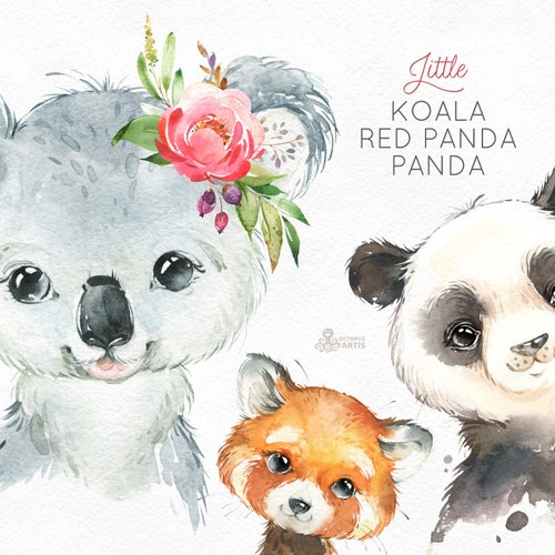 Little Koala Red Panda Panda Watercolor Animals Clipart Etsy Sweden