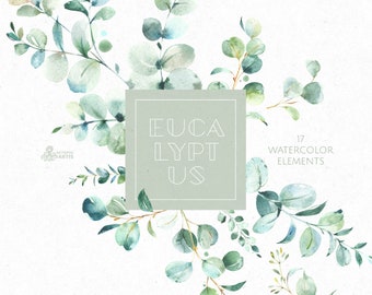 Eucalyptus. 17 Individual Floral Elements. Watercolor clipart, leaves, leaf, greenery, green, wild, wedding, bridal, branch, forest, png