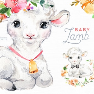 Baby Lamb. Watercolor little animals clipart, Farm, country, fun, flowers, wreath, kids, nursery art, baby-shower, girl, boy, spring, cute