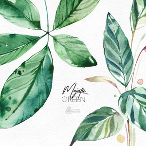 Majestic Green. 50 Individual Floral Elements. Watercolor clipart, leaves, tropical, leaf, greenery, palm, green, wild, wedding, bridal, png image 3