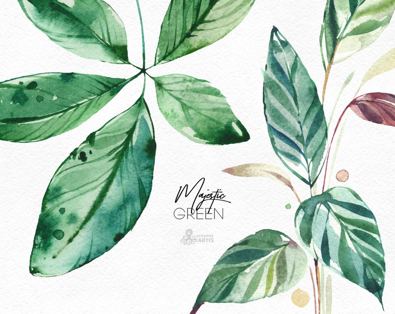 Majestic Green. 50 Individual Floral Elements. Watercolor clipart, leaves, tropical, leaf, greenery, palm, green, wild, wedding, bridal, png image 3