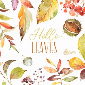 Hello Leaves. Watercolor fall clipart, thanksgiving, halloween, harvest, autumn, leaf, yellow, leaves, red, party, acorn, chestnut