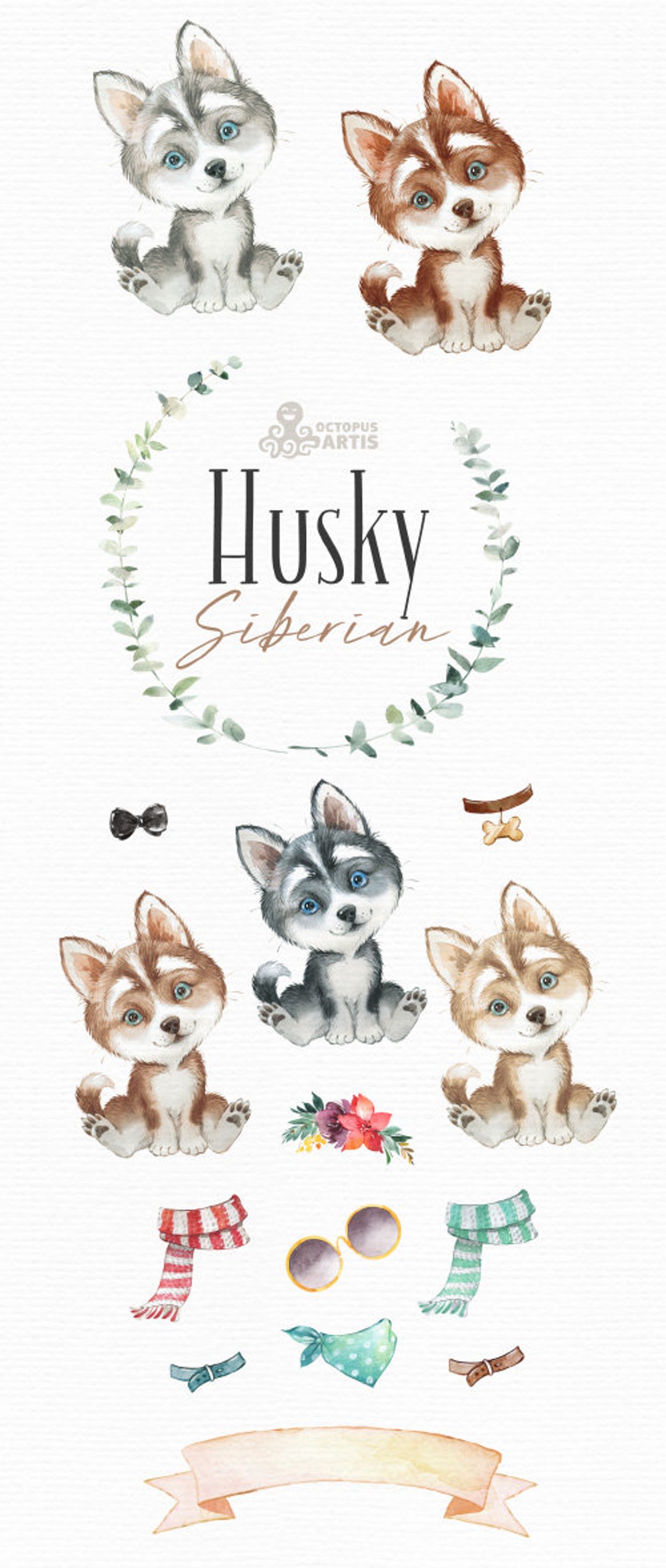 Husky Siberian. Watercolor Little Pet Clipart Portrait - Etsy UK