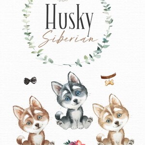 Husky Siberian. Watercolor Little Pet Clipart (Download Now) - Etsy