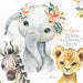 Africa Zebra Elephant Lion Watercolor little animals clipart, babies portrait cub flowers, kids cute, nursery art, baby-shower octopusartis