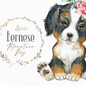 Bernese Mountain Dog. Watercolor Little Animal Clipart - Etsy