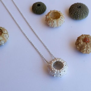 Large Sputnik Sea Urchin Necklace with Sterling Silver Chain  - Sterling Silver Sea Urchin Pendant