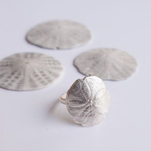 Puede incluir: Un anillo de plata con un diseño de dólar de arena texturizado. El anillo está rodeado de tres dólares de arena.