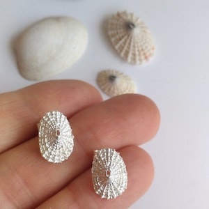 Small Sterling Silver Limpet Stud Earrings