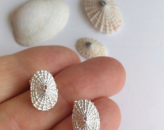 Small Sterling Silver Limpet Stud Earrings