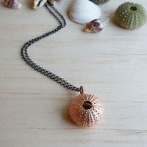 Rose Gold Sea Urchin Pendant: Black Rhodium Sterling Silver Chain