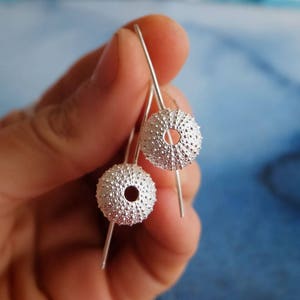 Sterling Silver Sea Urchin Earrings - Dangle Earrings with Medium Size Sea Urchin Shells