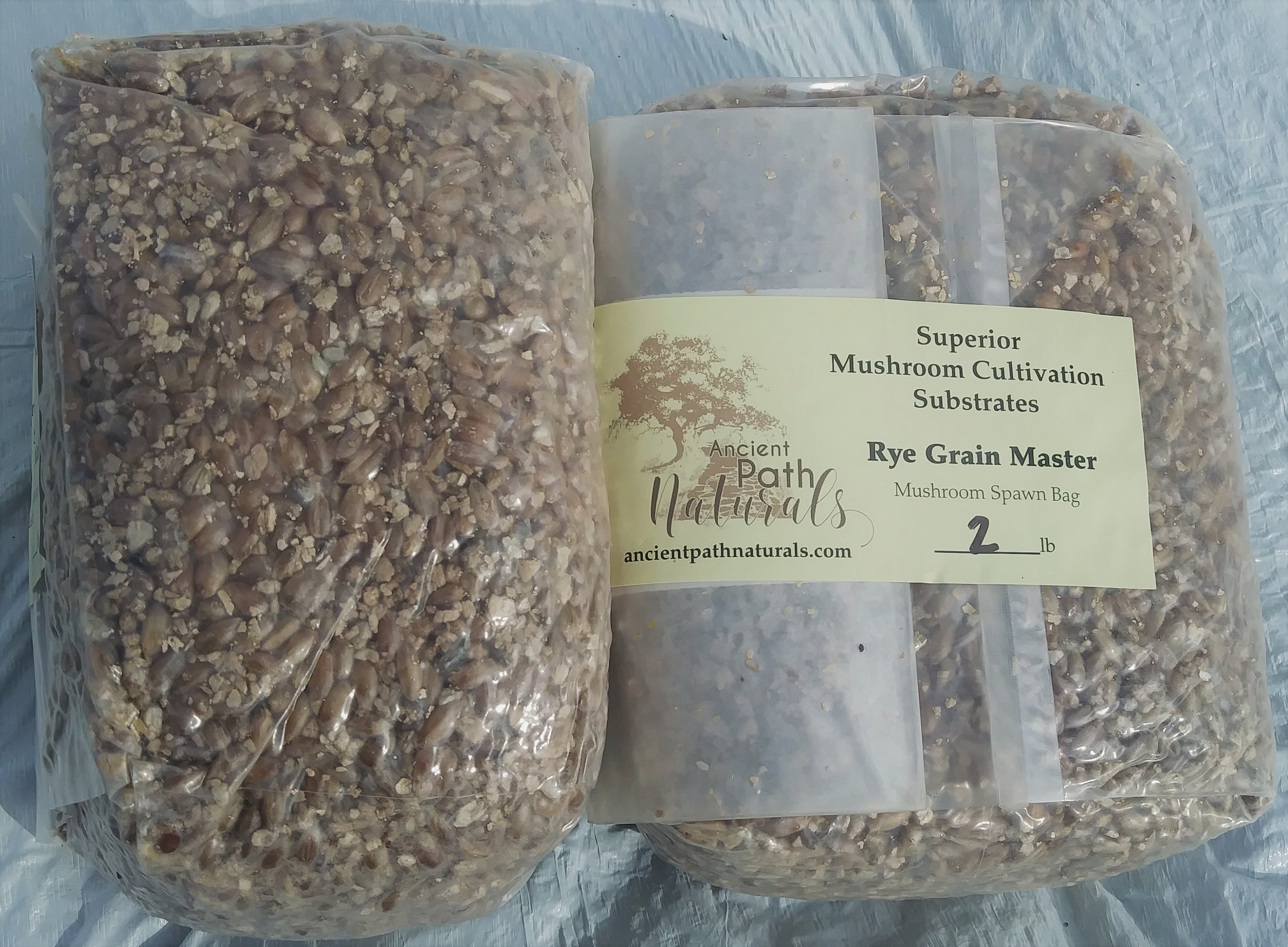 Sterilized Rye Berry Mushroom Substrate 6 One Pound Bags