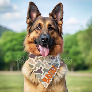 May include: A German Shepherd dog wearing a camouflage bandana with the name "BAXTER" in orange letters. The dog is outdoors with a green background and blue sky. The bandana has a brown, green, and gray pattern.