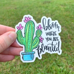 Bloom where you are planted cactus Sticker | Laptop Sticker | Sticker Collector | Vinyl Sticker Decal | Inspirational | Cactus lover Gift |